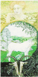 01.01.1953 - Mein Sternzeichen ist der Steinbock,